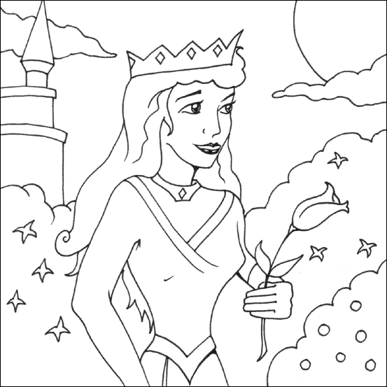Princesse 381