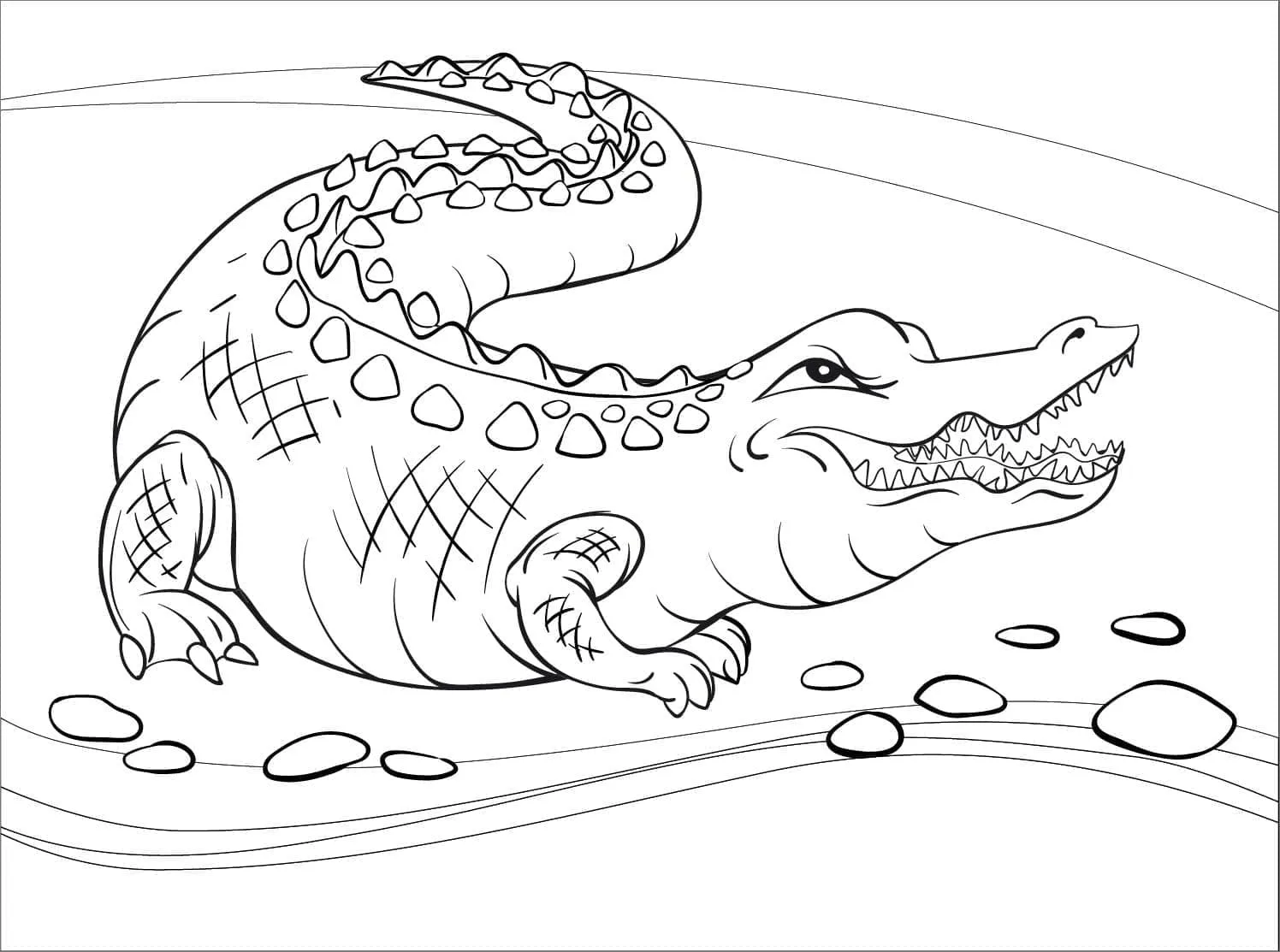 Alligator 15