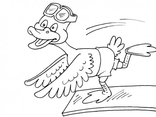 Canard 63