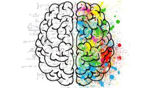 Les enfants développent des compétences essentielles en coloriant
